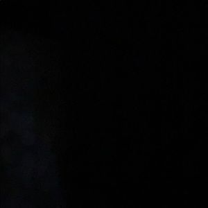 Meet your Posher, Elisa